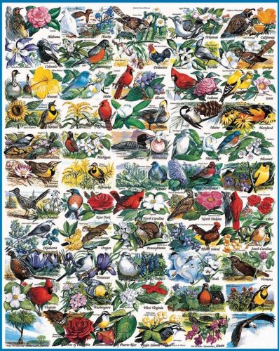 White Mountain Puzzles Jigsaw Puzzle 1000 Pieces 24"X30"-State Birds & Flowers White Mountain Puzzles Jigsaw Puzzle 1000 Pieces 24"X30"-State Birds & Flowers von Unbekannt