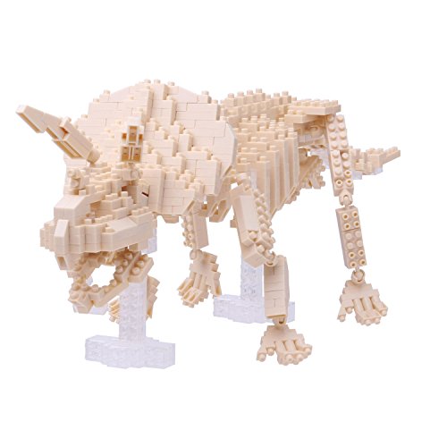 nanoblock NBM-017 - Triceratops Skeleton Model/Skelett Triceratops, Minibaustein 3D-Puzzle, Middle Series, 700 Teile, Schwierigkeitsstufe 5, für Experten von Kawada