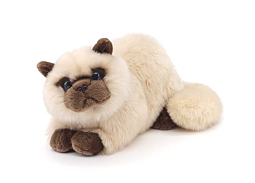 Uni-Toys - Perserkatze beige, liegend - 31 cm (Länge) - Plüsch-Katze - Plüschtier, Kuscheltier von Uni-Toys