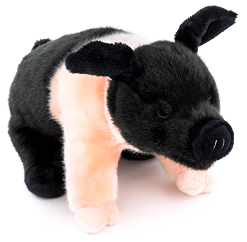 Uni-Toys - Angler Sattelschwein, stehend - 25 cm (Länge) - Plüsch-Schweinchen, Schwein - Plüschtier, Kuscheltier, (BH-13043) von Uni-Toys