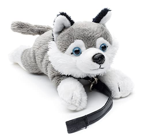 Uni-Toys - Husky Plushie (mit Leine) - 22 cm (Länge) - Plüsch-Hund, Haustier - Plüschtier, Kuscheltier von Uni-Toys
