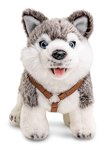 Uni-Toys - Husky Welpe grau, mit Geschirr - stehend - 24 cm (Länge) - Plüsch-Hund - Plüschtier, Kuscheltier von Uni-Toys