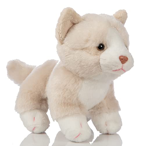 Uni-Toys - Katzen-Baby (Creme-weiß), stehend - 13 cm (Höhe) - Plüsch-Kätzchen - Plüschtier, Kuscheltier, HT-30302, Cremefarben von Uni-Toys