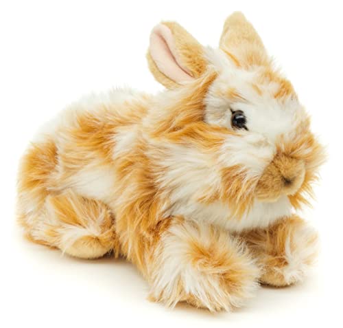 Uni-Toys - Löwenkopf-Kaninchen mit aufgestellten Ohren - liegend - Gold-weiß gescheckt - 23 cm (Höhe) - Plüsch-Hase - Plüschtier, Kuscheltier von Uni-Toys