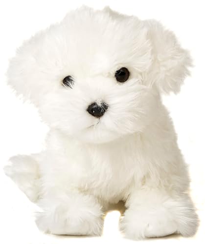 Uni-Toys - Malteser (ohne Leine) - 26 cm (Länge) - Plüsch-Hund, Haustier - Plüschtier, Kuscheltier von Uni-Toys