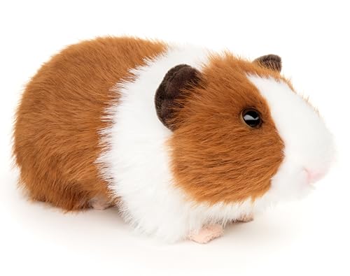 Uni-Toys - Meerschweinchen (braun-weiß) - 21 cm (Länge) - Plüschtier, Kuscheltier von Uni-Toys