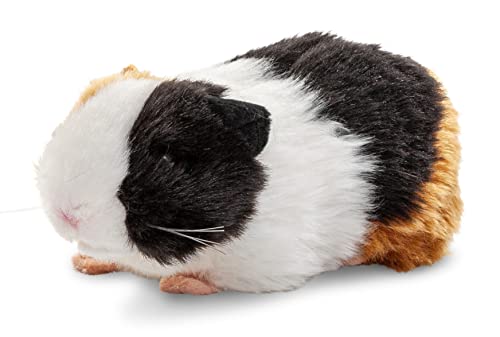 Uni-Toys - Meerschweinchen - 20 cm (Länge) - Plüschtier, Kuscheltier von Uni-Toys