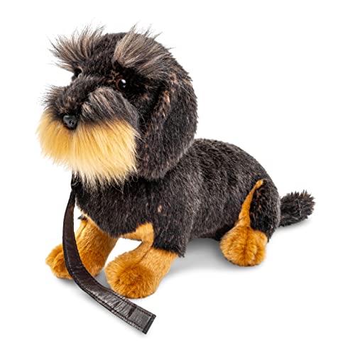 Uni-Toys - Rauhaardackel, sitzend (Mit Leine) - 22 cm (Höhe) - Plüsch-Hund, Dackel, Haustier - Plüschtier, Kuscheltier von Uni-Toys