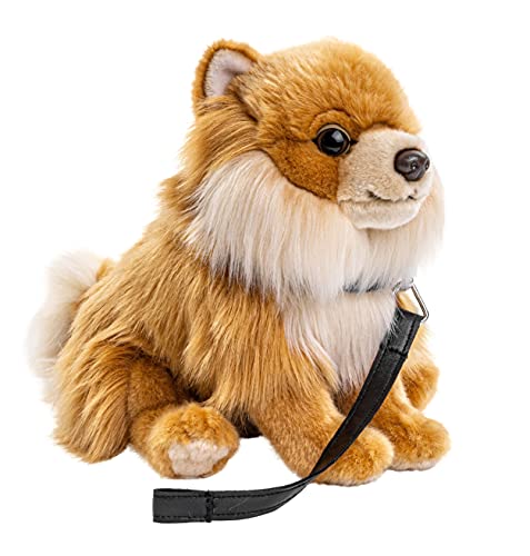 Uni-Toys - Zwergspitz mit Leine, sitzend - 23 cm (Höhe) - Plüsch-Hund, Spitz, Haustier - Plüschtier, Kuscheltier von Uni-Toys