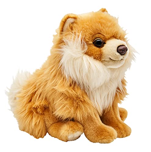 Uni-Toys - Zwergspitz, sitzend - 23 cm (Höhe) - Plüsch-Hund, Spitz, Haustier - Plüschtier, Kuscheltier von Uni-Toys
