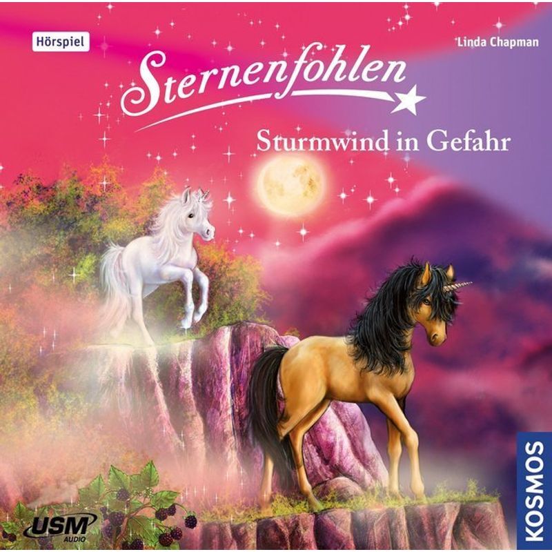 Sternenfohlen - Sturmwind in Gefahr,1 Audio-CD von United Soft Media (USM)