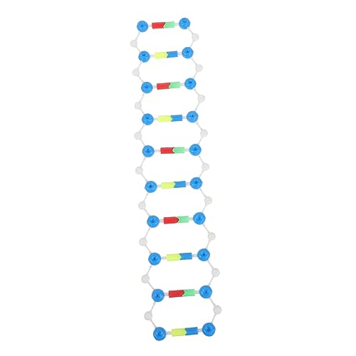 Unomor Komponenten des DNA-doppelhelix-modells Motorbausatz DNA-lehrmittel DNA-montagemodell Hilfsmittel Für Den Biologieunterricht Modell Eines Lehrinstruments Plastik Hilfswerkzeug Gen von Unomor