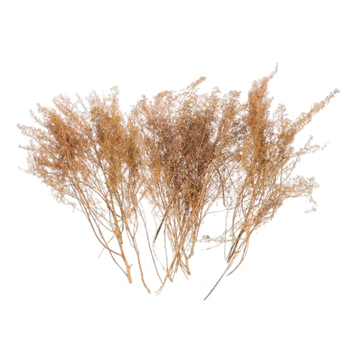 Uonlytech 1 Schachtel Dorniges Quinoa -Modellmaterial Landschaftsmodell Gras Landschaft DIY Gras Sandtischgras-Modell Miniatur-Grasmodell Modelleisenbahn-Landschaftsbau Holz Uonlytech 1 Schachtel Dorniges Quinoa -Modellmaterial Landschaftsmodell Gras Landschaft DIY Gras Sandtischgras-Modell Miniatur-Grasmodell Modelleisenbahn-Landschaftsbau Holz von Uonlytech