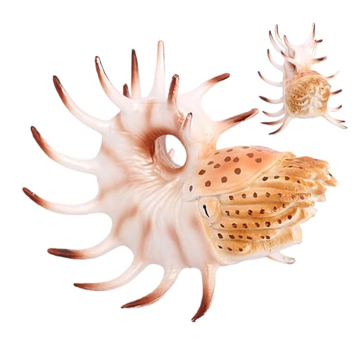 Uozonit Meerestier-Dekoration, Meerestierspielzeug, realistische Nautilus-Modelle für | Dekoratives Lernspielzeug für und Mädchen, Meerestierdekoration für Urlaub Uozonit Meerestier-Dekoration, Meerestierspielzeug, realistische Nautilus-Modelle für | Dekoratives Lernspielzeug für und Mädchen, Meerestierdekoration für Urlaub von Uozonit
