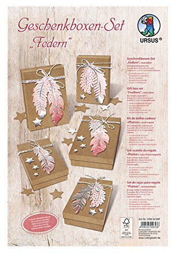 Ursus 27920099F - Geschenkboxen Set Federn, rosé / silber, 2 große und 3 kleine Boxen, vorgestanzt und genutet, inklusive Accessoires, ideal für kleine Überraschungen Ursus 27920099F - Geschenkboxen Set Federn, rosé / silber, 2 große und 3 kleine Boxen, vorgestanzt und genutet, inklusive Accessoires, ideal für kleine Überraschungen von Ursus