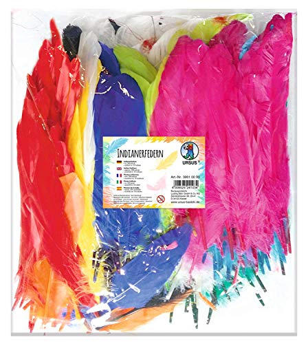 Ursus 39610099 - Indianerfedern, 300 Stück in 10 verschiedenen Farben Sortiert, ca. 16-20 cm, schlanke, gerade und Lange Form, zum Basteln von Masken, Traumfängern und Anderen Accessoires, bunt Ursus 39610099 - Indianerfedern, 300 Stück in 10 verschiedenen Farben Sortiert, ca. 16-20 cm, schlanke, gerade und Lange Form, zum Basteln von Masken, Traumfängern und Anderen Accessoires, bunt von Ursus