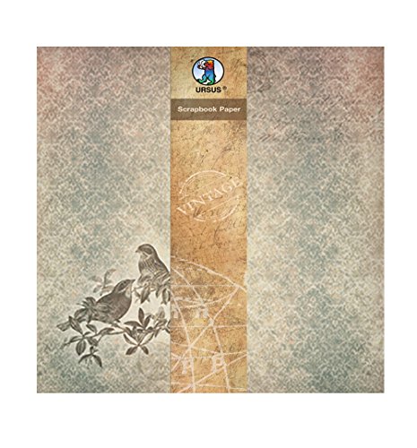 Ursus 40870008 - Scrapbook paper, Vintage, Vögel, ca. 30,5 x 30,5 cm, 190 g/qm, 5 Blatt, beidseitig bedruckt, Vorder- und Rückseite in verschiedenen Motiven, mit Banderole Ursus 40870008 - Scrapbook paper, Vintage, Vögel, ca. 30,5 x 30,5 cm, 190 g/qm, 5 Blatt, beidseitig bedruckt, Vorder- und Rückseite in verschiedenen Motiven, mit Banderole von Ursus