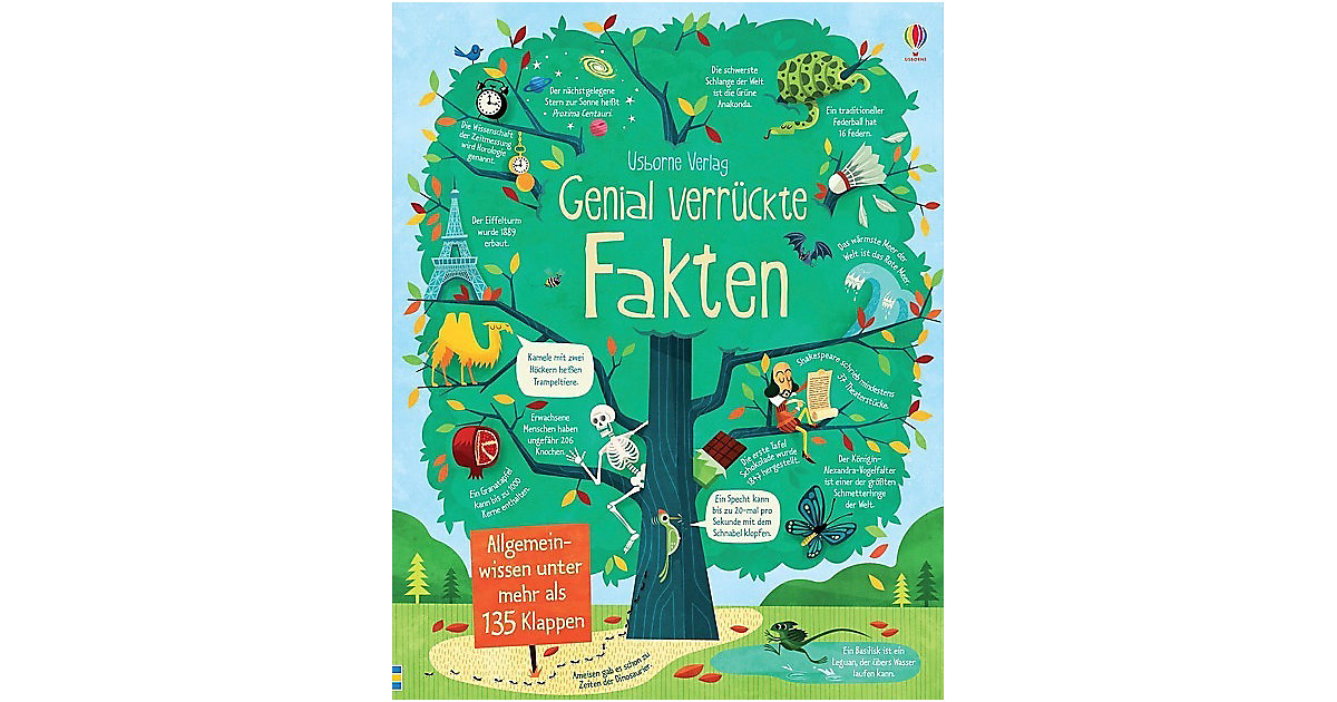 Buch - Genial verrückte Fakten Buch - Genial verrückte Fakten von Usborne Verlag