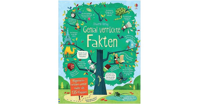 Buch - Genial verrückte Fakten von Usborne Verlag