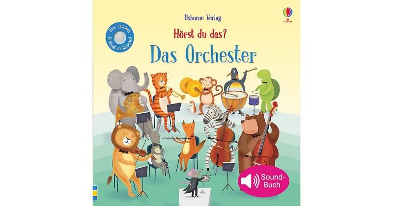 Buch - Hörst du das? Das Orchester von Usborne Verlag