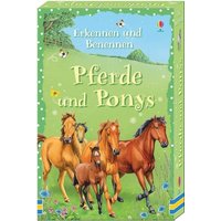 Erkennen und Benennen: Pferde und Ponys von Usborne Verlag
