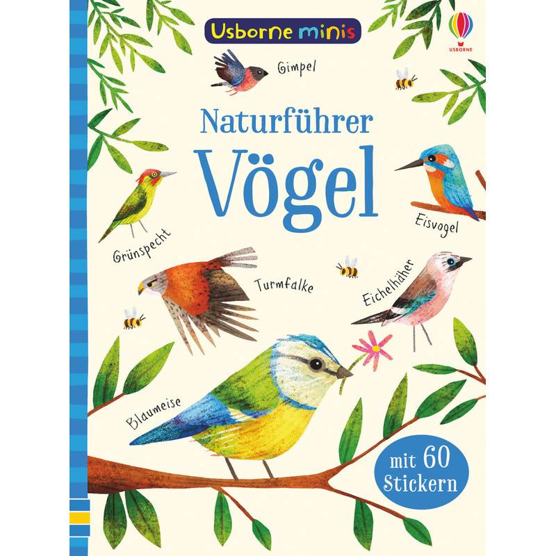 Naturführer: Vögel von Usborne Verlag