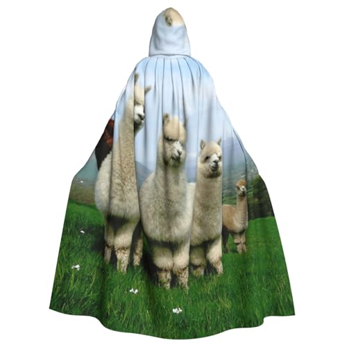 Uusnwaa Umhang mit Kapuze, Alpaka-Familien-Druck, Umhang mit Kapuze, Mittelalter-Renaissance-Umhang für Damen und Herren, Halloween, Cosplay-Kostüm Uusnwaa Umhang mit Kapuze, Alpaka-Familien-Druck, Umhang mit Kapuze, Mittelalter-Renaissance-Umhang für Damen und Herren, Halloween, Cosplay-Kostüm von Uusnwaa