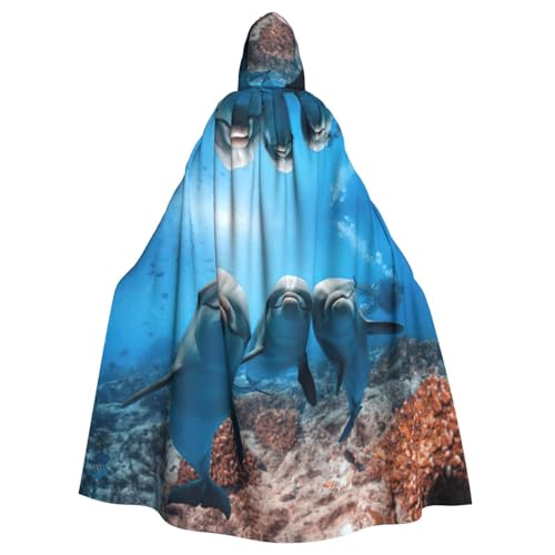 Uusnwaa Umhang mit Kapuze, lustiger Delfin, der dich ansieht, Umhang mit Kapuze, mittelalterlicher Renaissance-Umhang für Damen und Herren, Halloween, Cosplay-Kostüm Uusnwaa Umhang mit Kapuze, lustiger Delfin, der dich ansieht, Umhang mit Kapuze, mittelalterlicher Renaissance-Umhang für Damen und Herren, Halloween, Cosplay-Kostüm von Uusnwaa