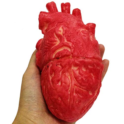 Uyuke Fake Human Heart Latex Lebensgroße Heart Bloody Horror Requisiten für Halloween von Uyuke
