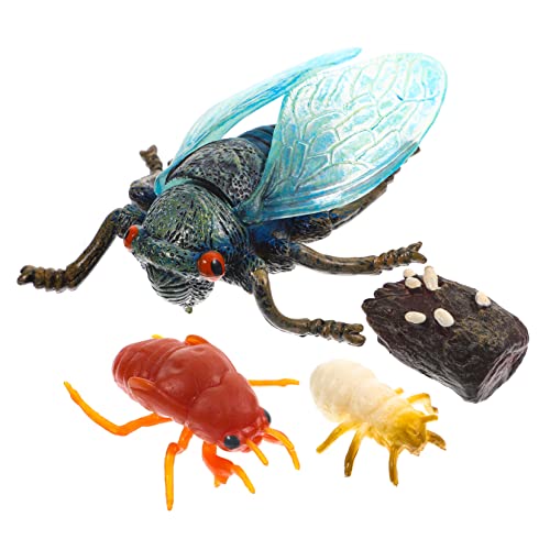 VALICLUD 1 Satz Simulation Cicada Growth Cycle Modell Lifelike Deko für Realistische Darstellung des Zikadenlebenszyklus für Kreative Lernspiele und Gartenaktivitäten VALICLUD 1 Satz Simulation Cicada Growth Cycle Modell Lifelike Deko für Realistische Darstellung des Zikadenlebenszyklus für Kreative Lernspiele und Gartenaktivitäten von VALICLUD