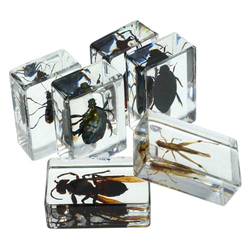 VALICLUD 6 Stück Teiliges Insektenpräparat in Transparentem Resin Kleine Langlebige Sammlung mit Realistischen Insektenmodellen für Bildung und Anschauliche Naturbeobachtung VALICLUD 6 Stück Teiliges Insektenpräparat in Transparentem Resin Kleine Langlebige Sammlung mit Realistischen Insektenmodellen für Bildung und Anschauliche Naturbeobachtung von VALICLUD