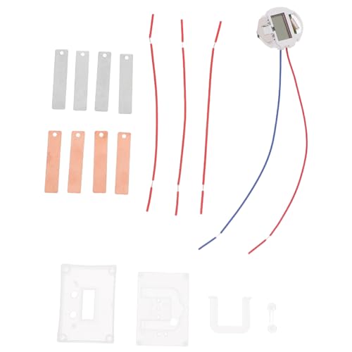 VALICLUD DIY Elektrizität Wissenschaftsset Fruchtbatterie Experiment Bausatz für Schüler Lernspielzeug mit Sicheren Materialien für Schulprojekte und Motorische Fähigkeitenentwicklung von VALICLUD