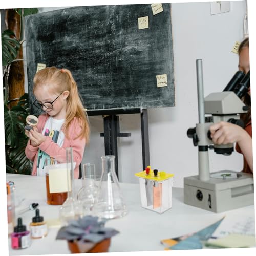 VALICLUD DIY Fruchtbatterie Experimentierkasten Salzlösung Batterie mit Metallplatten für Physikunterricht Schüler Stromerzeugung Energieumwandlung Experimente VALICLUD DIY Fruchtbatterie Experimentierkasten Salzlösung Batterie mit Metallplatten für Physikunterricht Schüler Stromerzeugung Energieumwandlung Experimente von VALICLUD