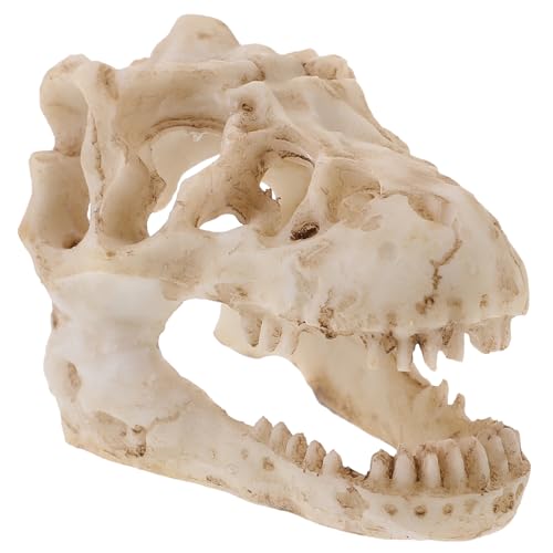VALICLUD Dinosaurier Schädel Modell Aus Kunstharz Realistische Dinosaurier Schädel Dekoration Für Schreibtisch Zuhause Kleiner Schädel Für Kreative Gestaltung VALICLUD Dinosaurier Schädel Modell Aus Kunstharz Realistische Dinosaurier Schädel Dekoration Für Schreibtisch Zuhause Kleiner Schädel Für Kreative Gestaltung von VALICLUD
