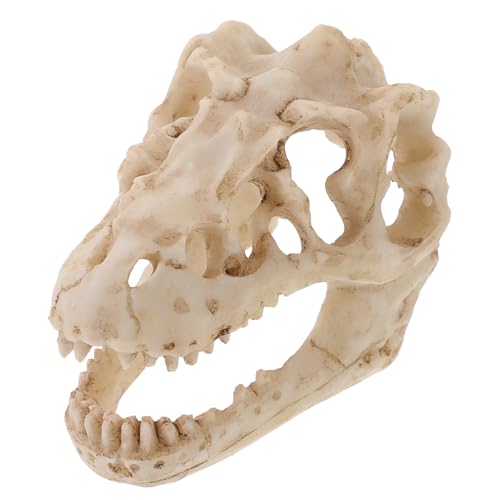 VALICLUD Dinosaurier Schädel Modell aus Kompaktes Dinoskelett für Lehrmittel Reptiliendekor für Schreibtische Displays Langlebig Detailreich VALICLUD Dinosaurier Schädel Modell aus Kompaktes Dinoskelett für Lehrmittel Reptiliendekor für Schreibtische Displays Langlebig Detailreich von VALICLUD