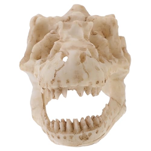 VALICLUD Dinosaurier Schädelmodell aus Handgefertigtes Deko Element für Terrarien Aquarien für Sammler Dinosaurierliebhaber Langlebiges Lebensechtes von VALICLUD