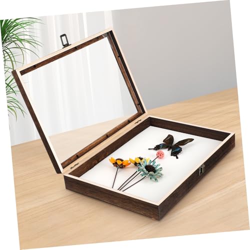 VALICLUD Holzkasten für Präparate mit Transparentem Acryldeckel Staubdichter Insekten display case aus Carbon kirschholz mit Weißer Matte Rechteckige Aufbewahrungsbox für Schmetterlinge von VALICLUD