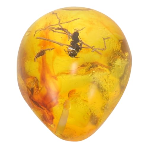 VALICLUD Insekten Bernstein Anhänger DIY Bastelset Natürliches Harz Schmuck Ornament Einzigartiges Insektenexemplar Leicht Tragbar für Heimdeko und Geschenke VALICLUD Insekten Bernstein Anhänger DIY Bastelset Natürliches Harz Schmuck Ornament Einzigartiges Insektenexemplar Leicht Tragbar für Heimdeko und Geschenke von VALICLUD