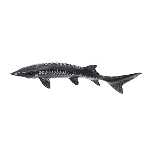 VALICLUD Künstlicher Stör Modellspielzeug aus Realistische Meeres Tier Dekoration Sicheres Langlebiges für Home Decor für Lernspielzeuge von VALICLUD