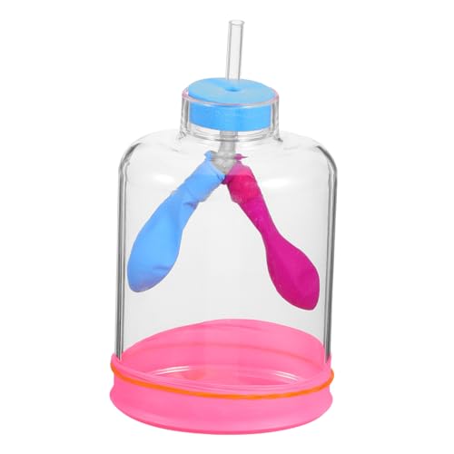 VALICLUD Lung Breathing Model mit DIY Funktion Lehrmittel für Experimente Realistische Lungen und Zwerchfellbewegung Einfaches Aufbauen für Schulunterricht und VALICLUD Lung Breathing Model mit DIY Funktion Lehrmittel für Experimente Realistische Lungen und Zwerchfellbewegung Einfaches Aufbauen für Schulunterricht und von VALICLUD