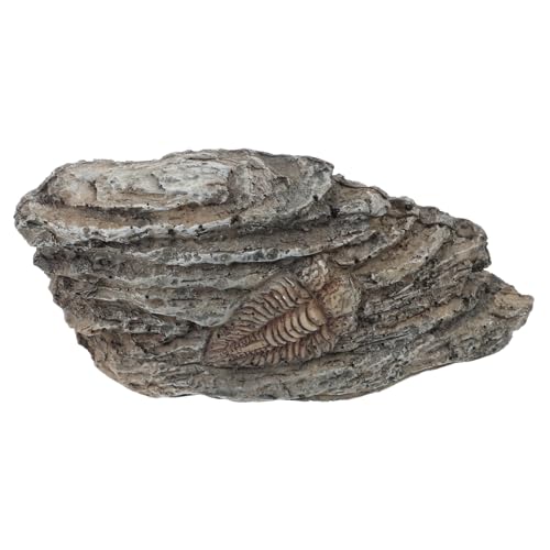 VALICLUD Resin Trilobiten Ornament für Dekoration und Sammlung Pädagogisches für Sicheres und Langlebiges Material für Lehrzwecke und Sammler VALICLUD Resin Trilobiten Ornament für Dekoration und Sammlung Pädagogisches für Sicheres und Langlebiges Material für Lehrzwecke und Sammler von VALICLUD