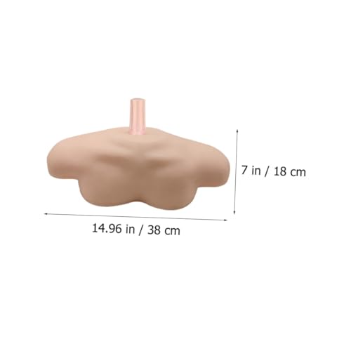 VALICLUD Schultermodell mit Halterung PVC Schulternachbildung für Kosmetologie Friseurausbildung Lehrmittel Wiederverwendbar Robust Praxisnah VALICLUD Schultermodell mit Halterung PVC Schulternachbildung für Kosmetologie Friseurausbildung Lehrmittel Wiederverwendbar Robust Praxisnah von VALICLUD