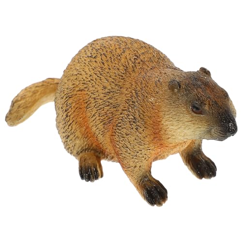 VALICLUD Simulation Groundhog Figurine Realistische Tierfigur für Dekoration Lernspielzeug zur Tierkognition für Klassenzimmer und Kinderzimmer Design Lebensechte Gestaltung VALICLUD Simulation Groundhog Figurine Realistische Tierfigur für Dekoration Lernspielzeug zur Tierkognition für Klassenzimmer und Kinderzimmer Design Lebensechte Gestaltung von VALICLUD
