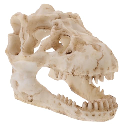 VALICLUD Simuliertes Dinosaurier Schädelmodell aus Resin Kompakt und Robust Dekoratives Ornament für Büro Terrarien und für Sammler und Dino Fans VALICLUD Simuliertes Dinosaurier Schädelmodell aus Resin Kompakt und Robust Dekoratives Ornament für Büro Terrarien und für Sammler und Dino Fans von VALICLUD