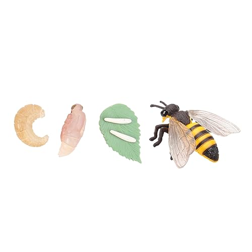 VANZACK 1 Satz Bienen Lebenszyklus Modell Realistisches Insektenwachstum Lehrspielzeug für Vorschule Puppentheater und Lernspiele Phasen der Bienenentwicklung VANZACK 1 Satz Bienen Lebenszyklus Modell Realistisches Insektenwachstum Lehrspielzeug für Vorschule Puppentheater und Lernspiele Phasen der Bienenentwicklung von VANZACK
