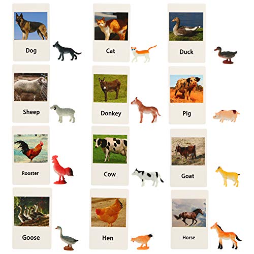 VANZACK 1 Satz Tierspielzeug für Frühe Bildung Kognitive Tierkarten für Interaktives Matching für Eltern Aktivitäten für Vorschule und Tier Mottopartys VANZACK 1 Satz Tierspielzeug für Frühe Bildung Kognitive Tierkarten für Interaktives Matching für Eltern Aktivitäten für Vorschule und Tier Mottopartys von VANZACK