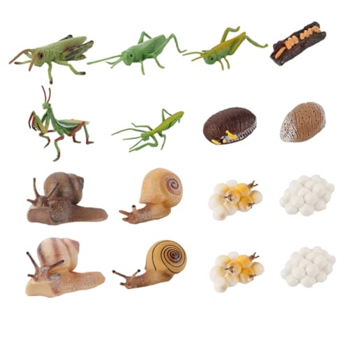 VANZACK 16 Stück Teiliges Tierwachstumsmodell aus Realistisches Evolutionstool für Vorschulkinder Pädagogisches Lernspielzeug Vorstellungskraft und Zufällige Farbe Zufällige Farbe von VANZACK