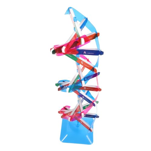VANZACK 1Satz DNA Doppelhelix Modell Für Unterricht Wissenschaftliches Lernspielzeug Und Experimentiermaterialien Kit Für Montage DNA Modell Zur des Verständnisses VANZACK 1Satz DNA Doppelhelix Modell Für Unterricht Wissenschaftliches Lernspielzeug Und Experimentiermaterialien Kit Für Montage DNA Modell Zur des Verständnisses von VANZACK