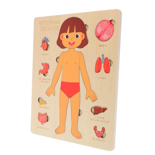 VANZACK 1Satz Holz Puzzle Menschlicher Körper Lernspielzeug Für Frühes Lernen Und Schulbildung Pädagogisches Für Jahren VANZACK 1Satz Holz Puzzle Menschlicher Körper Lernspielzeug Für Frühes Lernen Und Schulbildung Pädagogisches Für Jahren von VANZACK
