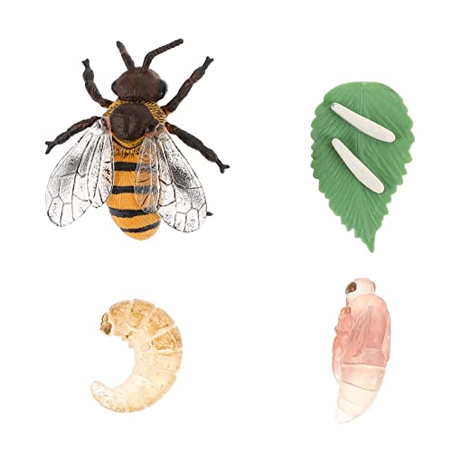 VANZACK Lebenszyklus Der Biene Miniatur-bienenwachstumszyklus-Spielzeug 1 Set Simulationshonig Pädagogisches Kognitives Spielzeug Für Jungen Und Mädchen von VANZACK